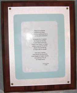 click here to see a larger picture